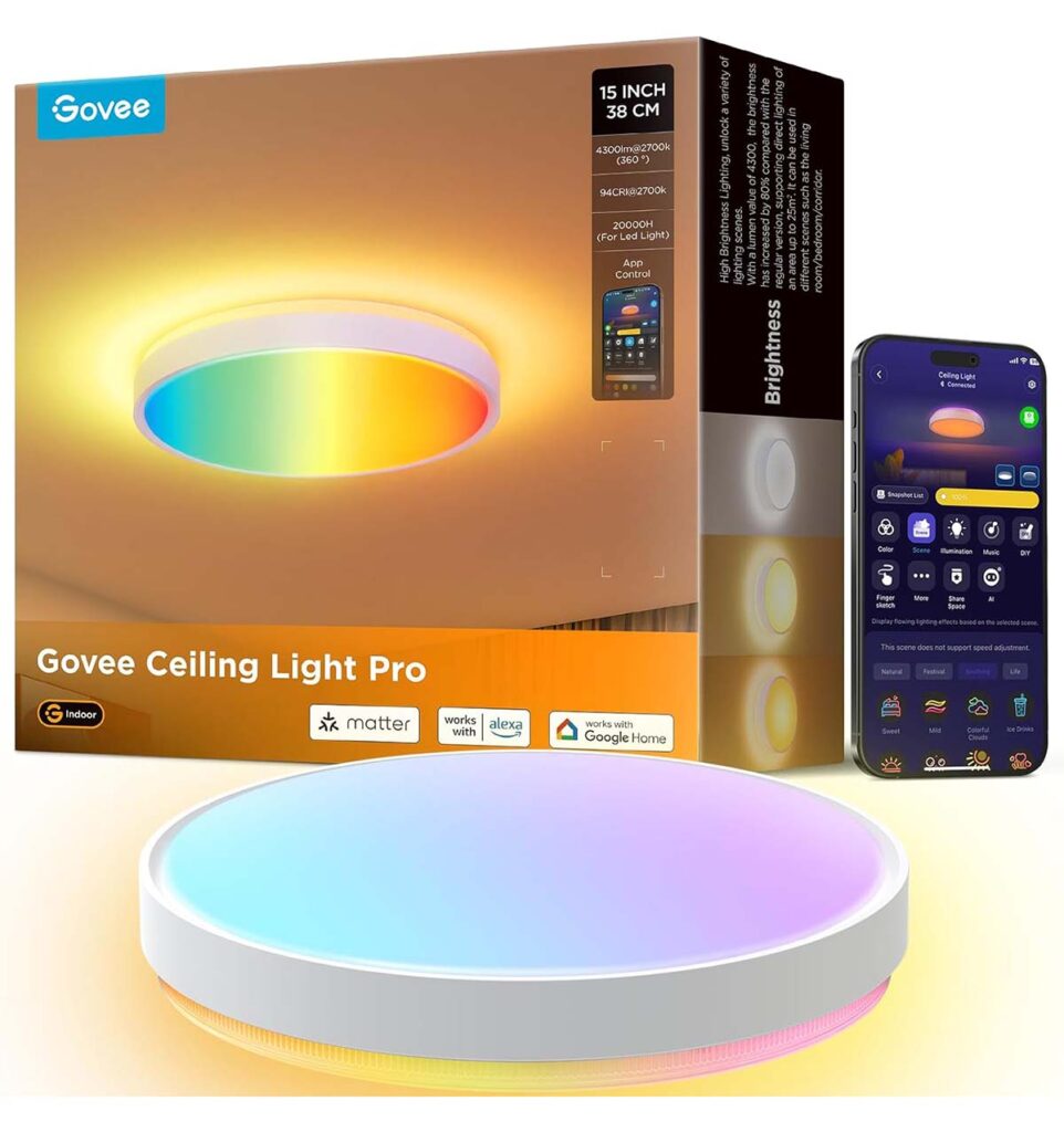 Govee Smart Deckenlampe H60A6
