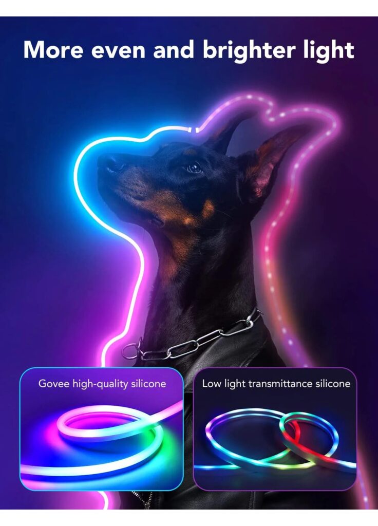 Govee Neon LED Strip Idee