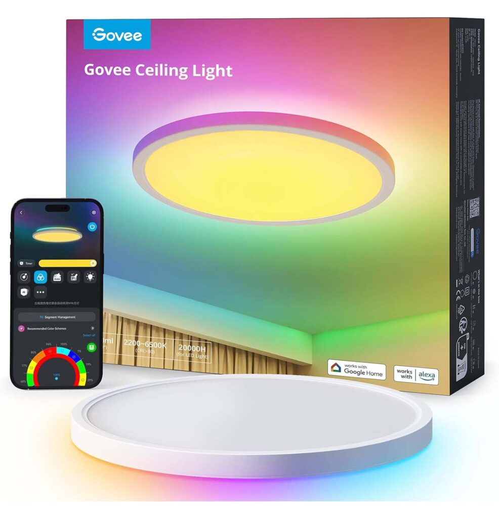 Govee Smart Deckenlampe H60A1