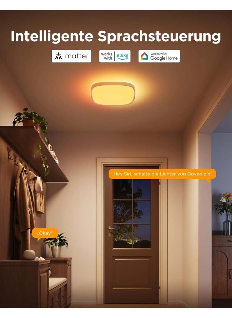Govee Quadratische Deckenlampe H60A4 Matter Amazon Alexa Google Home