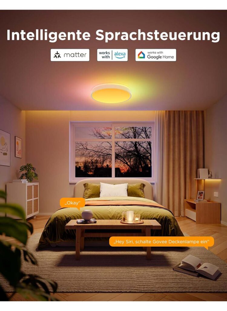 Govee Smart Deckenlampe H60A6